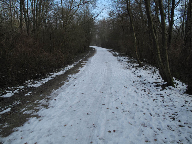 la plateforme dans le Petit Marais.jpg