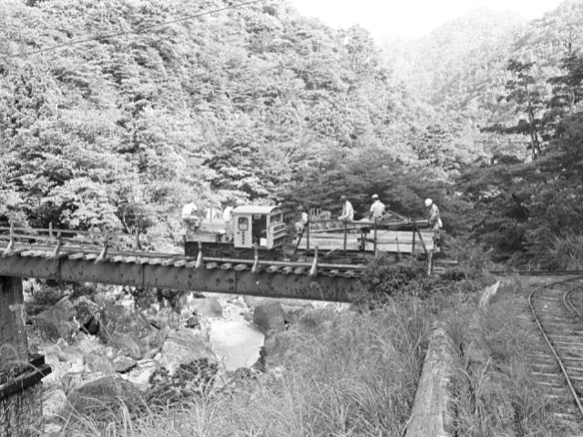 y06_37.jpg
