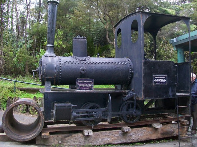 rainforest relic.JPG