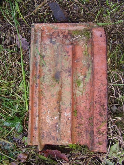PB260137_2.jpg