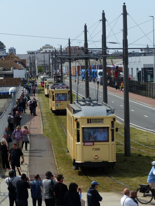 3 Arrivée du cortège à Havenhuis.jpg