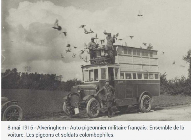 Bus-colombier-militaire.JPG