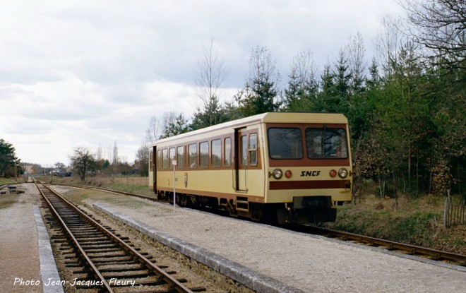DSC08100.JPG