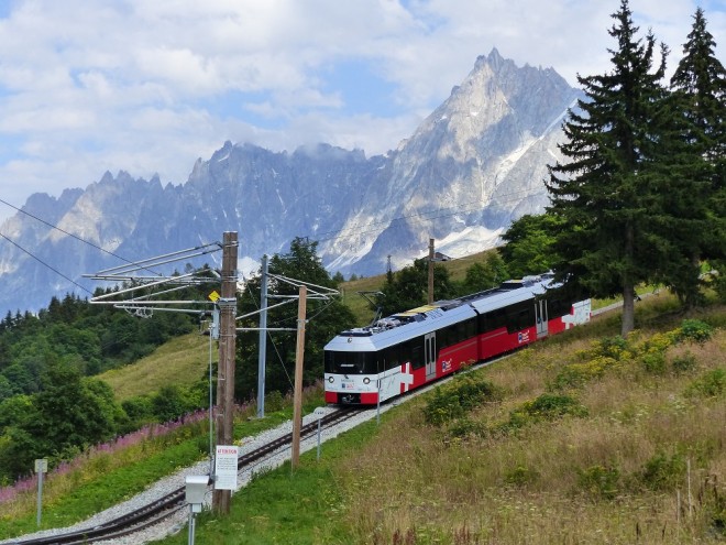 TMB 9 Marguerite au col de Voza.jpg