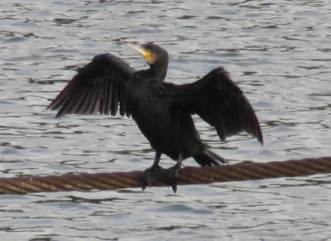 00 - IMG_8645.JPG