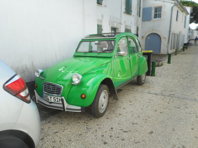 DSCN4769.JPG