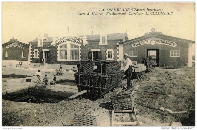 La Tremblade-Huitres-883_001.jpg