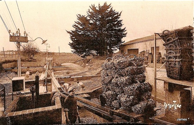 La-Tremblade-Etablissement-Abel-Besson-2-1454760826-.jpg