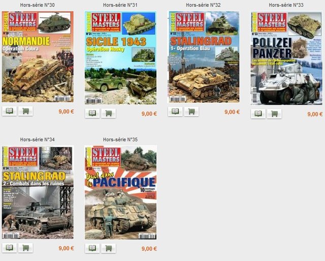 Hors séries Steelmasters.jpg