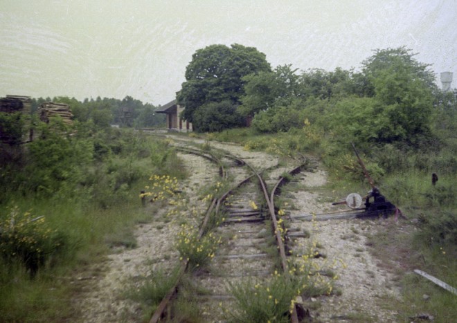 1975-04-612-neginsta.jpg