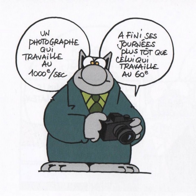Le Chat.jpg