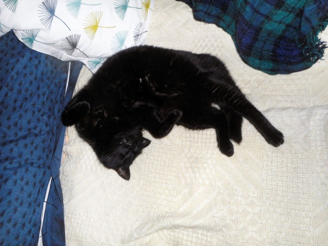 DSCN5805.JPG