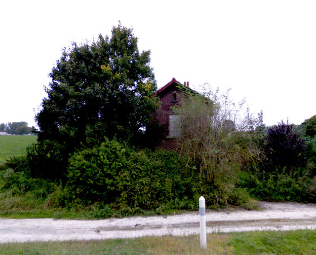 Mametz-2011-gs.jpg
