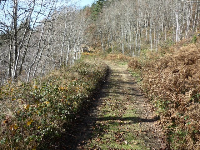 P1000621.JPG