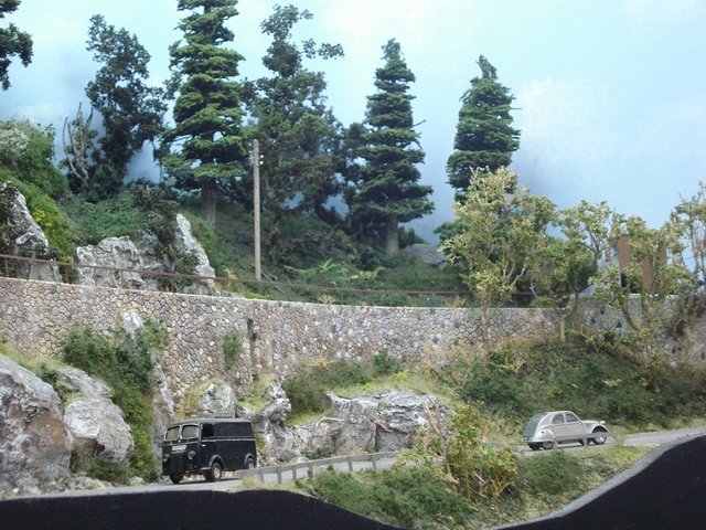 DSC07422.jpg