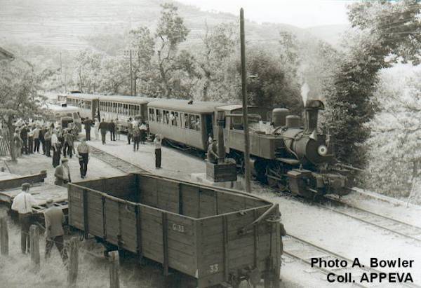 cfdv06.jpg