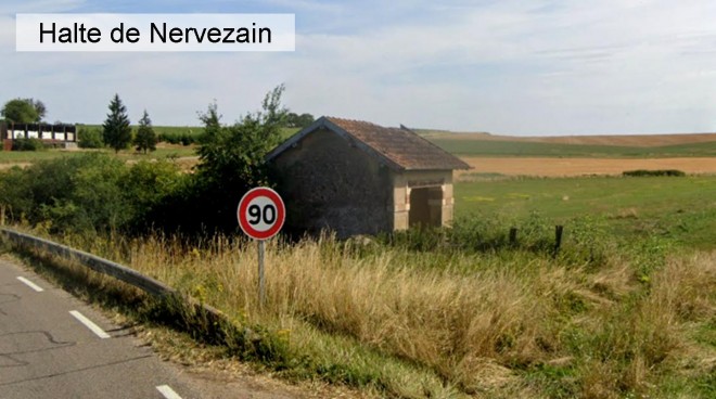 Nervezain 2.jpg