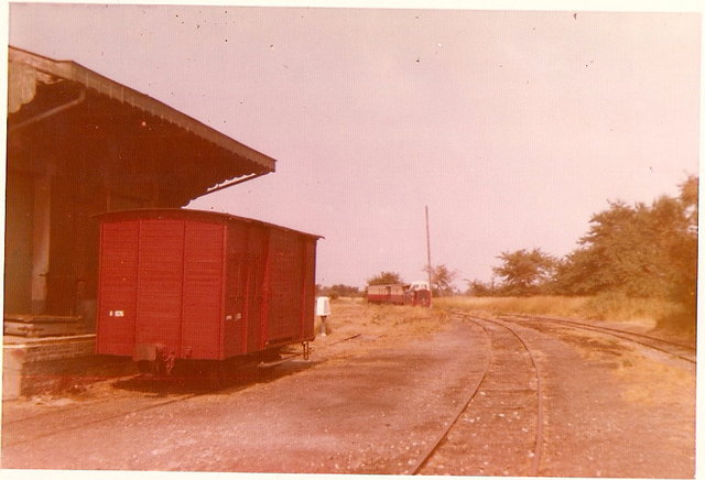 ScannedImage-5.jpg