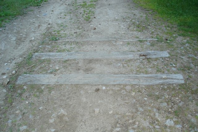 DSC05218m.JPG