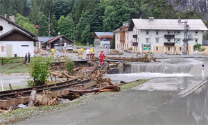 pinzgau.jpg