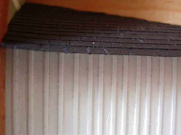 P1230116_2.jpg