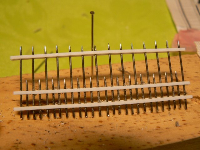 P1110678 (800x600).jpg