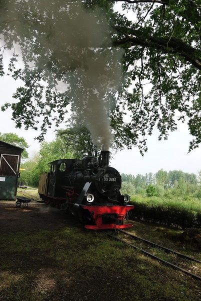 DSC03274 - Copie.JPG