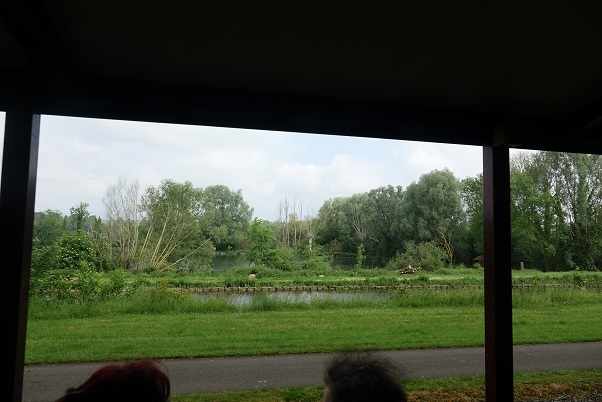 DSC03345 - Copie.JPG