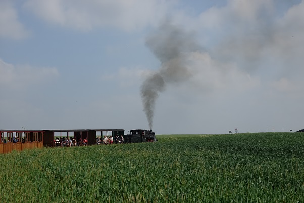 DSC03465 - Copie.JPG