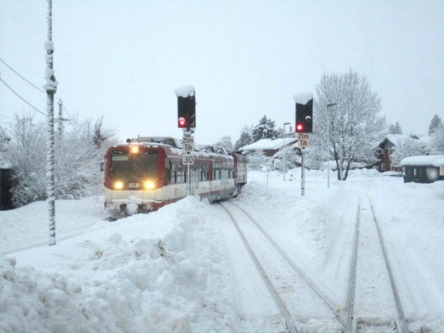 Winter11_12_2.jpg