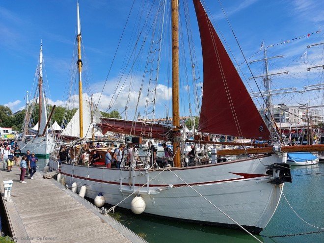 Fêtes maritimes de La Rochelle 2024-s.jpg