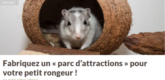 PME Hamster..png