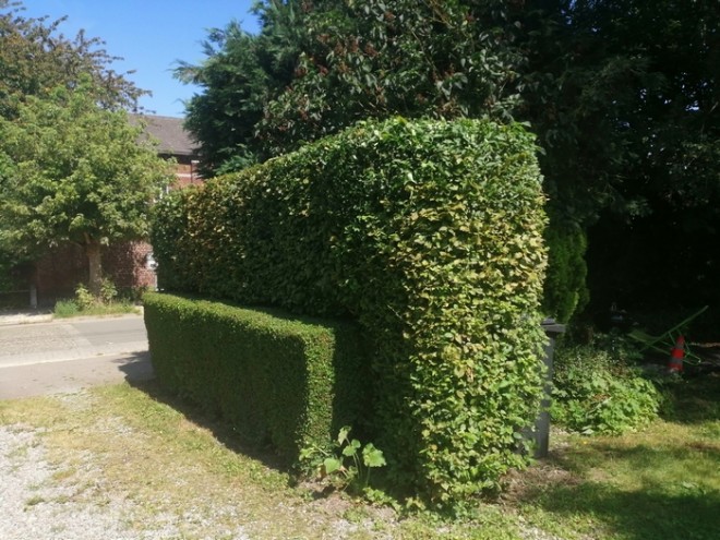 haie.jpg