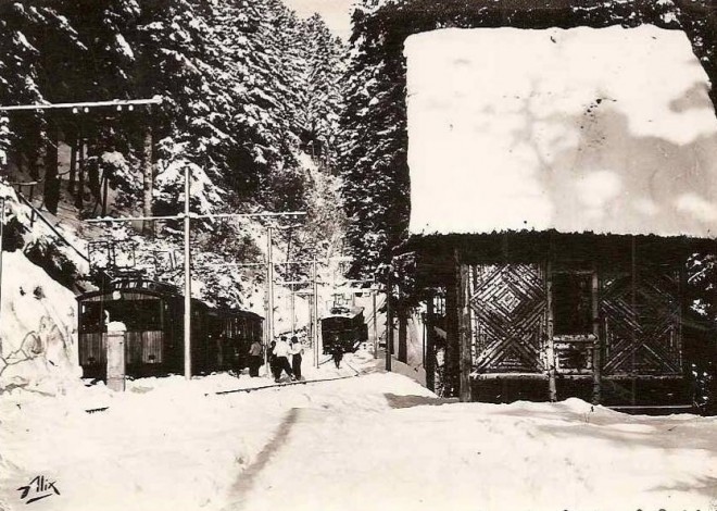 507_001.jpg