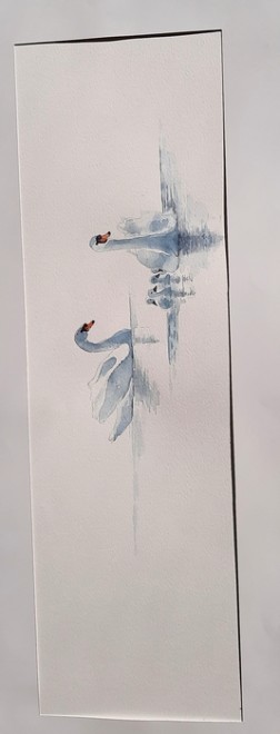 cygnes 2.jpg