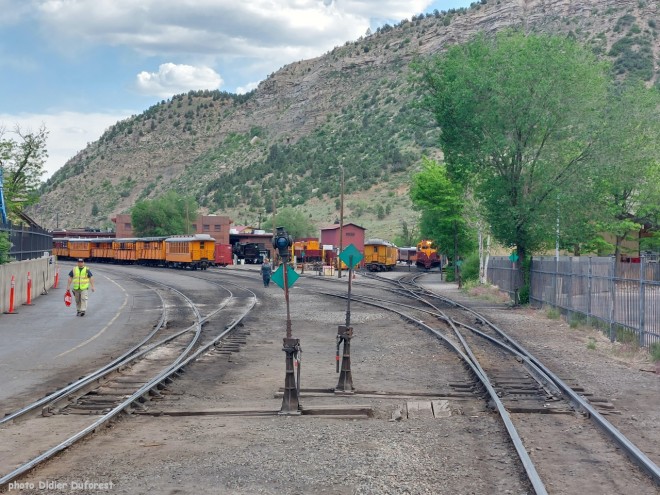 D&SNG 2024-2.jpg