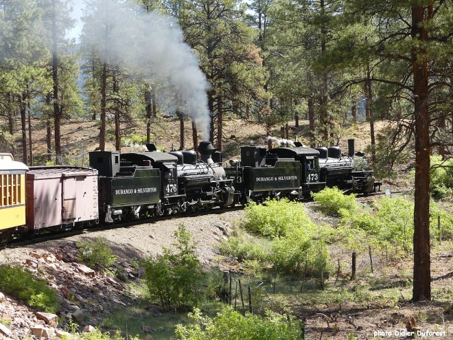 D&SNG 2024-24.jpg