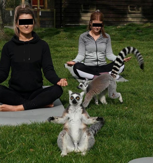 Zen.jpg