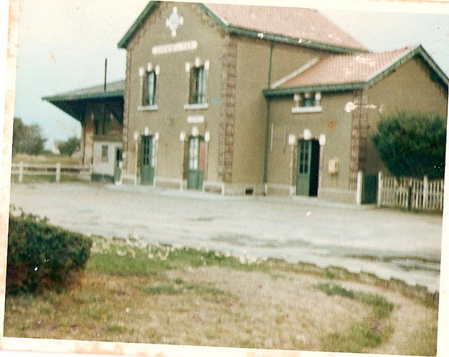 ScannedImage-12.jpg