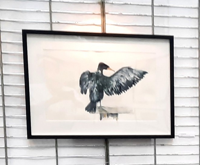 cormoran.jpg