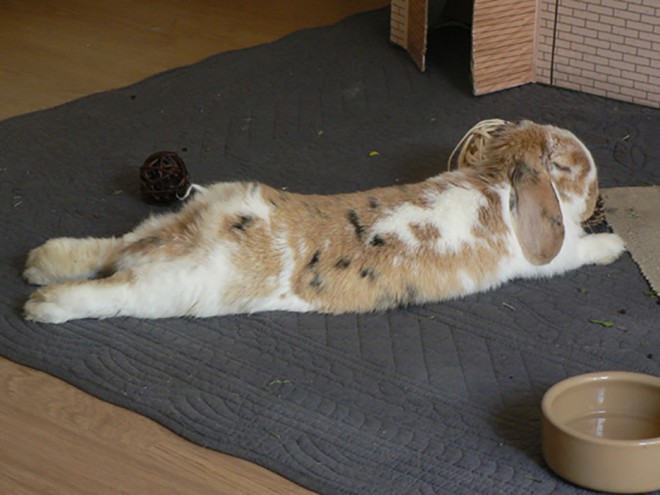 sieste14.jpg