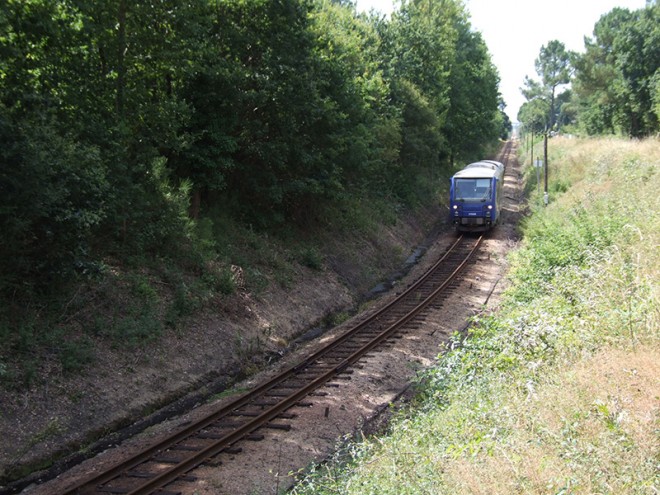 DSCF5131.JPG