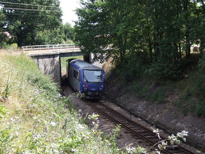 DSCF5132.JPG