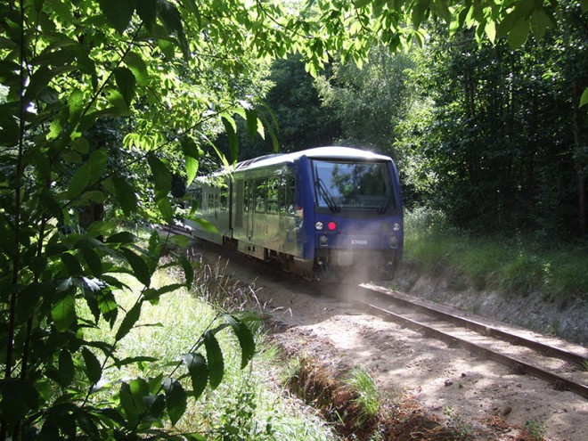 DSCF5153.JPG