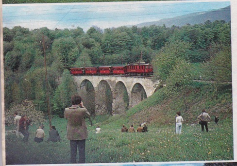 Scan 17.jpeg