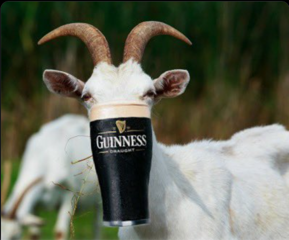 PME Guinness Bouc..png