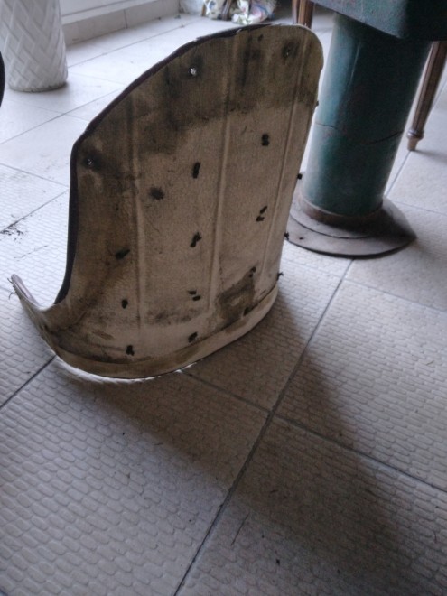 thumbnail_20241029_151803.jpg
