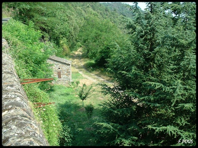 SFDV-juin-2003.jpg