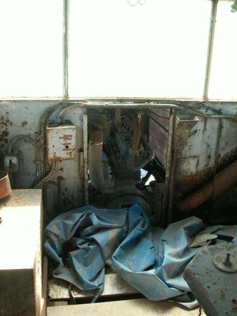 IMG_7708.jpeg