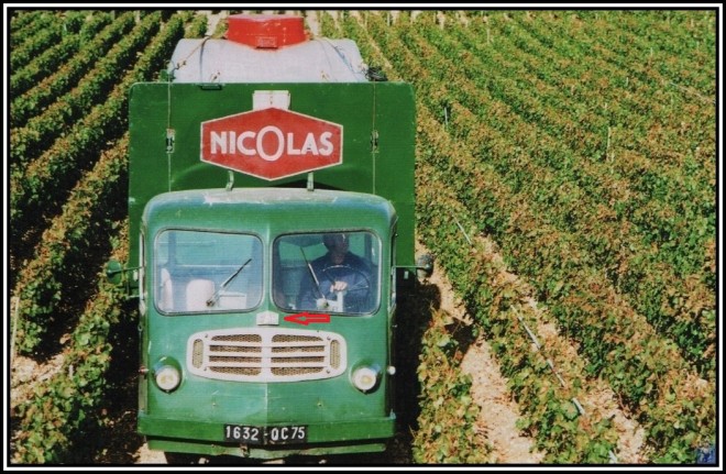 nicolas far cm b vignes2.jpg